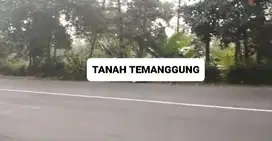 JUAL TANAH 5 HA TEMANGGUNG