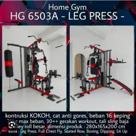 Alat home gym fitclass HG 6503 A