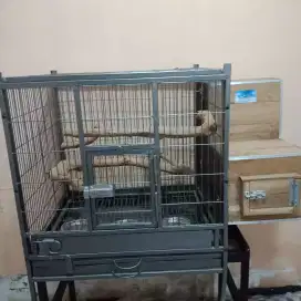 Jual kandang burung untuk ternak burung Parrot Afgrey,SC dll