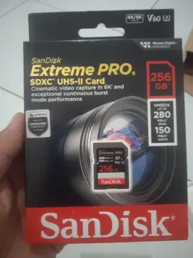 Sandisk extreme pro 256gb