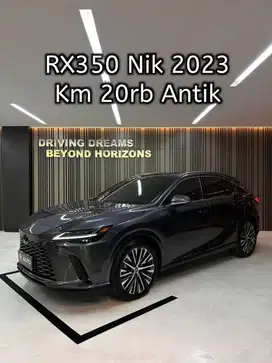 Lexus RX350 Luxury AT 2023 Abu-abu Metalik B16KSA