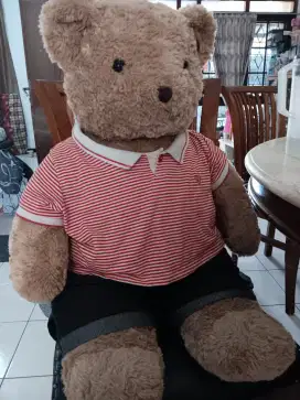 Boneka Teddy Bear Original 31