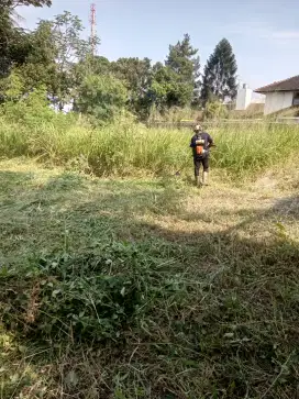 Tukang potong rumput Cinere depok