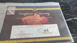 Sertifikat dan chip arwana super red