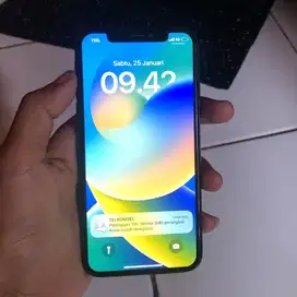 iPhone X 64 ibox