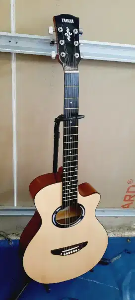 Gitar akustik apx tanbes natural glosy new
