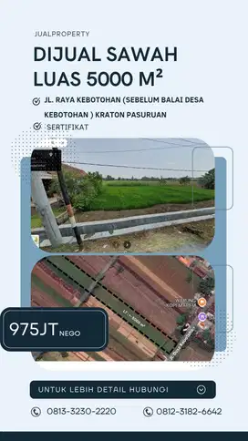 Jual cepat sawah 5000 m2 pasuruan