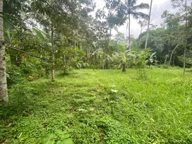 DI JUAL TANAH KEBON