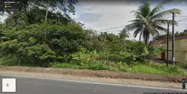 Jual tanah Jalan Raya Pangandaran, Kec Babakan Pangandaran