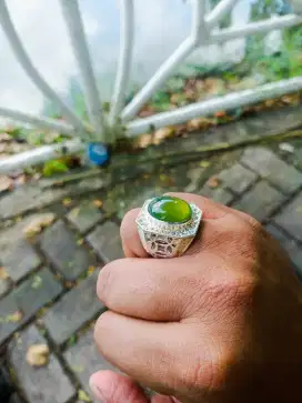 Green Serpentine
Ring perak Malaysia