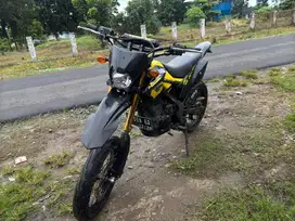 Dtracker SE klx