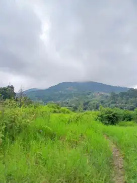 Dijual tanah datar siap bangun dengan view pegunungan di puncak