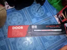 Door sill plate