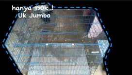 Kandang Kucing uk Jumbo