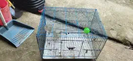 Kandang kicing#burung#hamster#