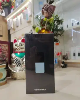 SAMSUNH Z Flif5 RAM 8/512