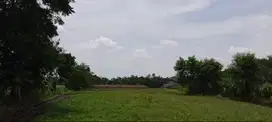 Tanah Pekarangan eks Sawah di Mlati Sleman, dijual Lebih Murah
