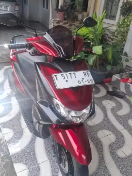 Yamaha Freego plat T