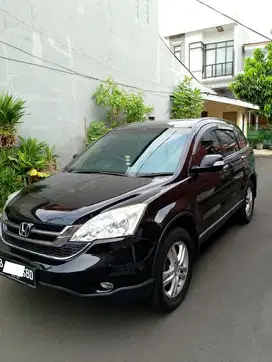 Dijual crv mulus