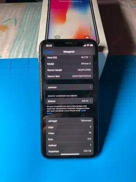 iPhone X 256GB Inter