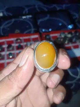 Cincin batu permata raflesia bengkulu