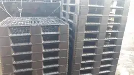 Pallet plastik seperti baru kondisi istimewa