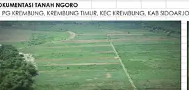 Dijual Tanah Seluas 258.925m² di Kawasan Ngoro, PG Krembung Sidoarjo