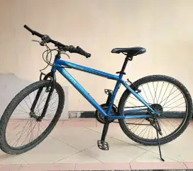 Sepeda MTB Wim cycle size 16