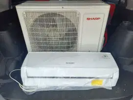 AC Sharp 1 PK normal