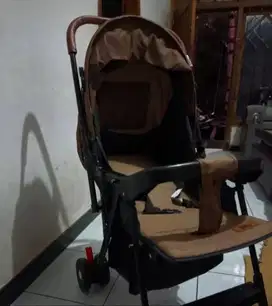 Stroller 2 arah