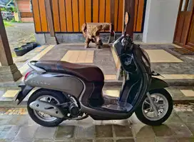 Scoopy 2022 AB Gunung Kidul