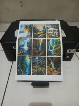 Ready Epson L210