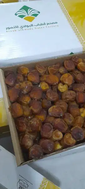 Kurma Import segar berkhasiat