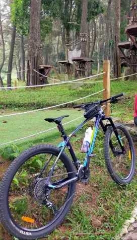 Sepeda MTB United Manfred Carbon