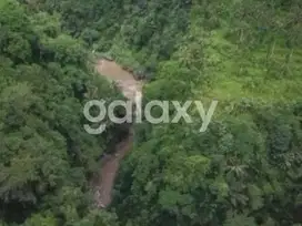 TANAH VIEW HUTAN LOS SUNGAI AYUNG DI MELINGGIH KELOD PAYANGAN GIANYAR,