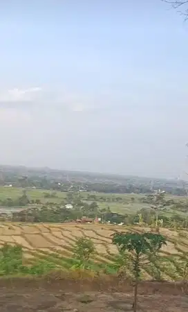 Tanah View Cantik