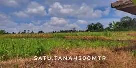 Dijual tanah sawah subur pinggir jalan view bagus