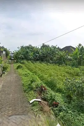 Tanah murah Ketindan Lawang Malang Dijual cpt B.U Poll arah Kebun Teh