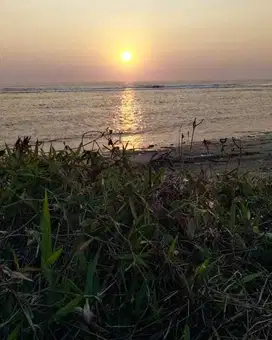 Dijual Tanah Langsung Pantai di Sumba