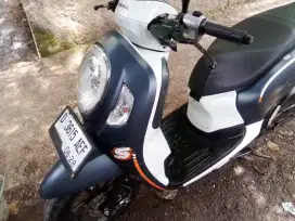 Honda Scoopy 2023 MURMER