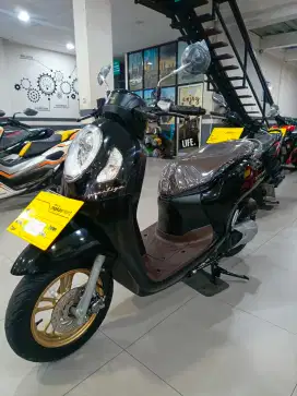 Scoopy jual murah