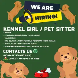 LOWONGAN KERJA PET SITTER