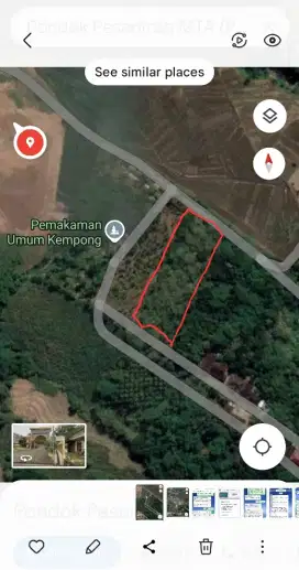 Dijual kebun jati