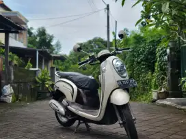 Honda Scoopy 2015