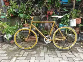 Sepeda fixie doltrap