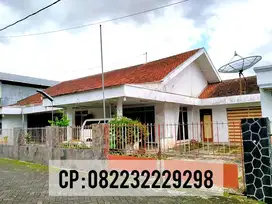 Dijual rumah PUSAT KOTA untuk homestay di Jember