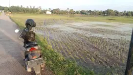 Dijual Cepat Tanah/Kavling Sawah di Rajeg Tangerang By Rumah Chinida