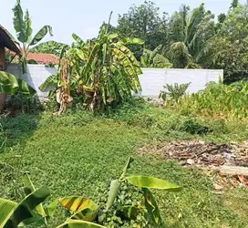 Dijual Cepat Kavling Siap Bangun di Rorotan Cilincing Jakarta Utara