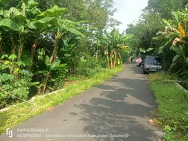 TANAH BELAKANG PASAR BEKONANG MOJALABAN