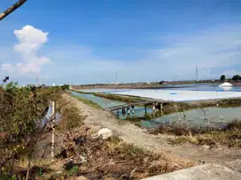 Dijual Tanah Tambak Strategis Di Benowo Romokalisari Surabaya